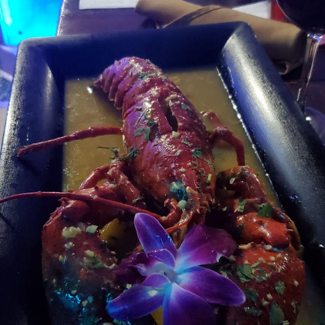 Lobster