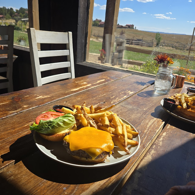 Bison Burger