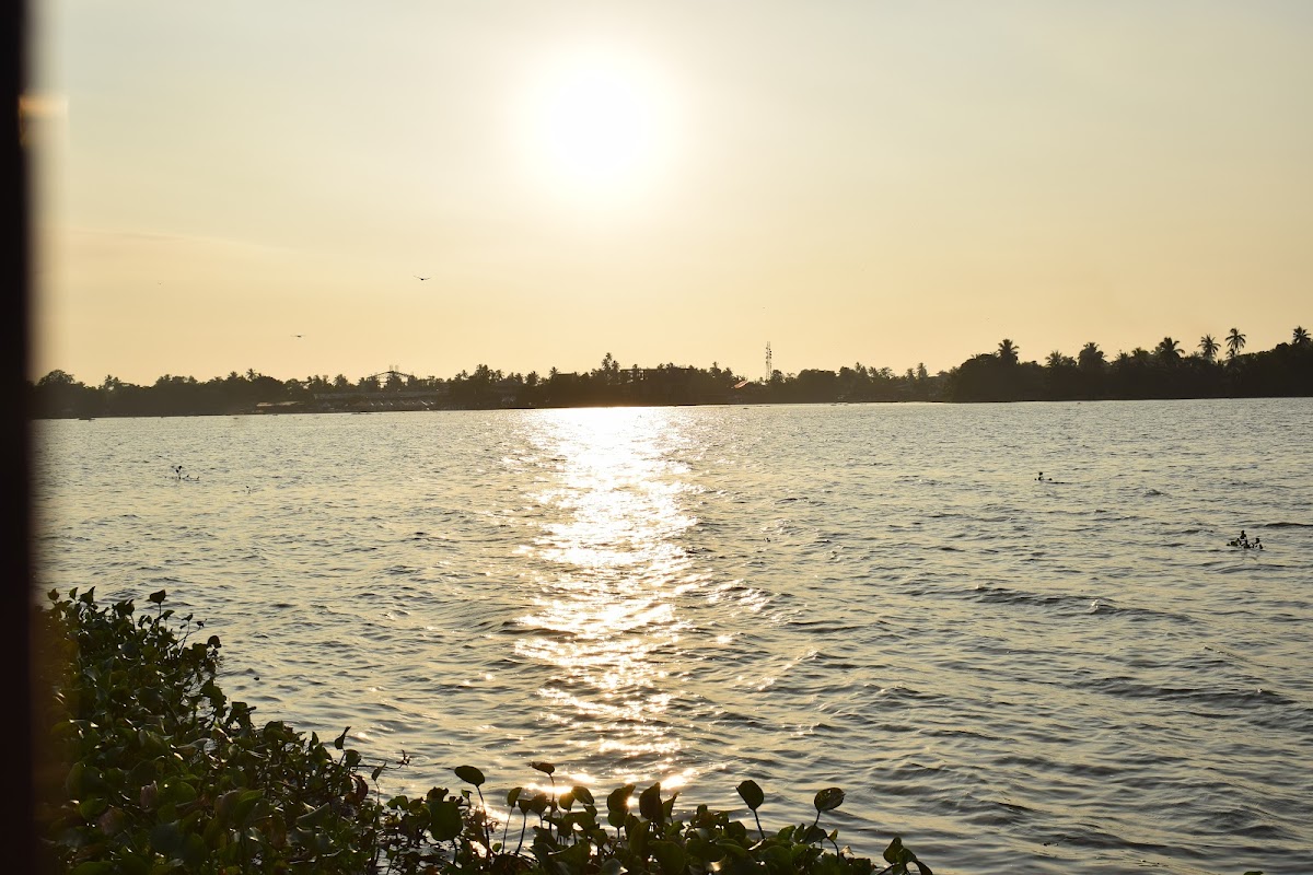 Kirala Island Restaurant - Photo 5