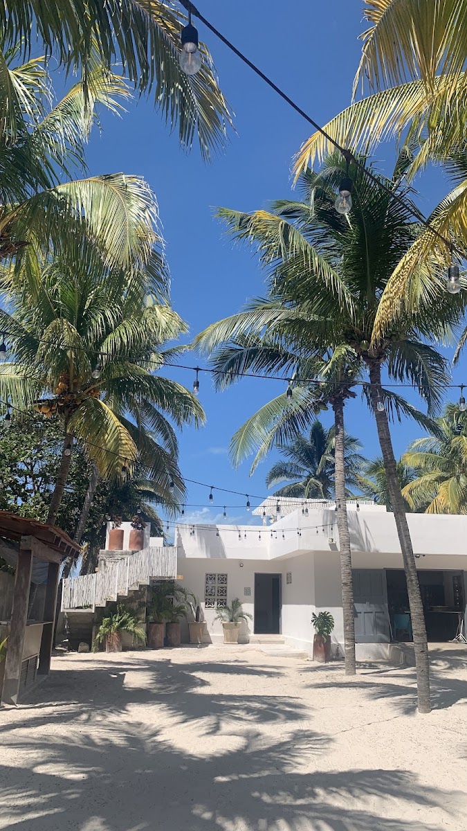Palmar Sisal - Club de Playa - Photo 1