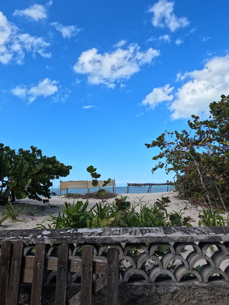 Palmar Sisal - Club de Playa - Photo 2
