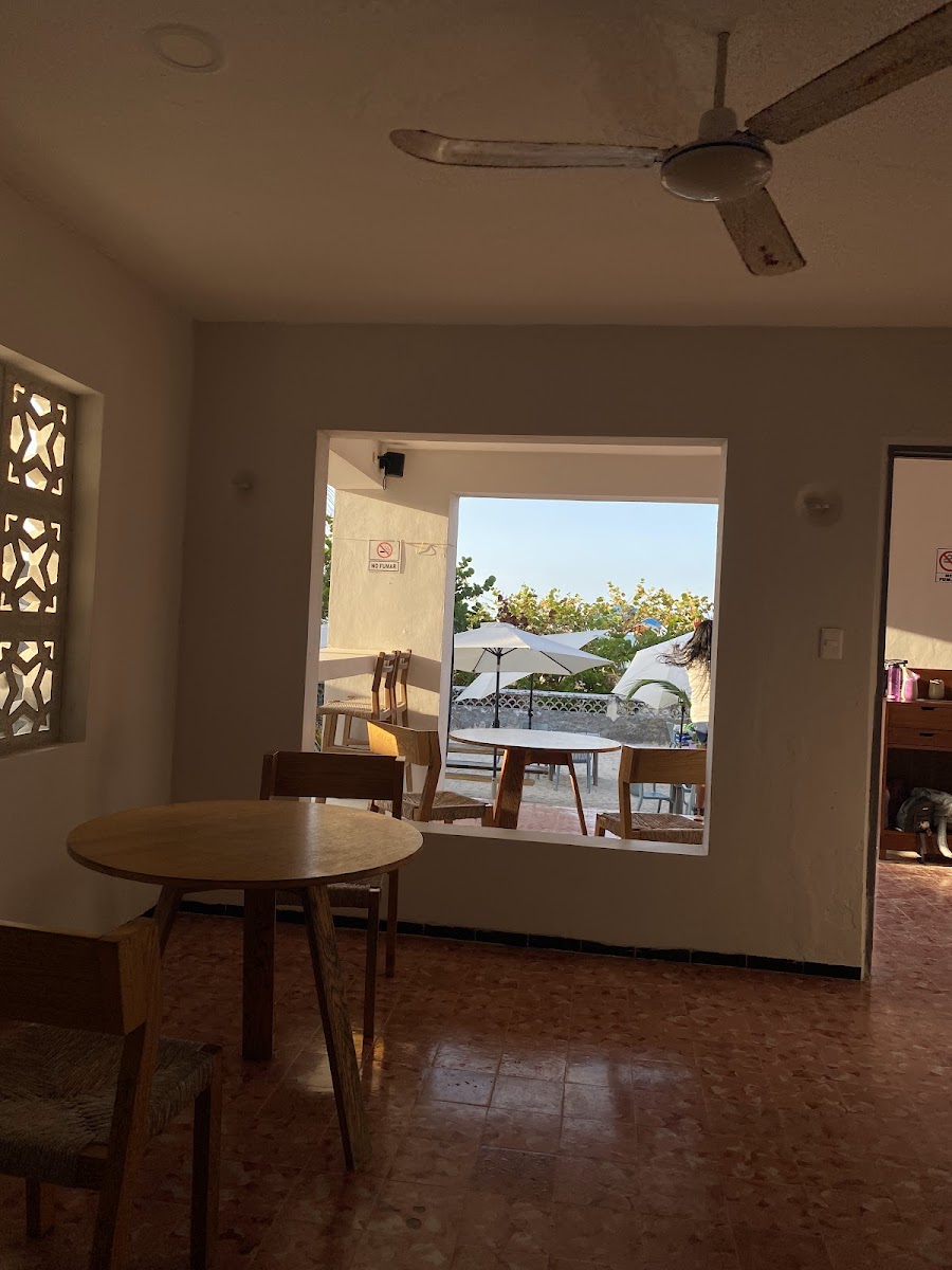 Palmar Sisal - Club de Playa - Photo 3