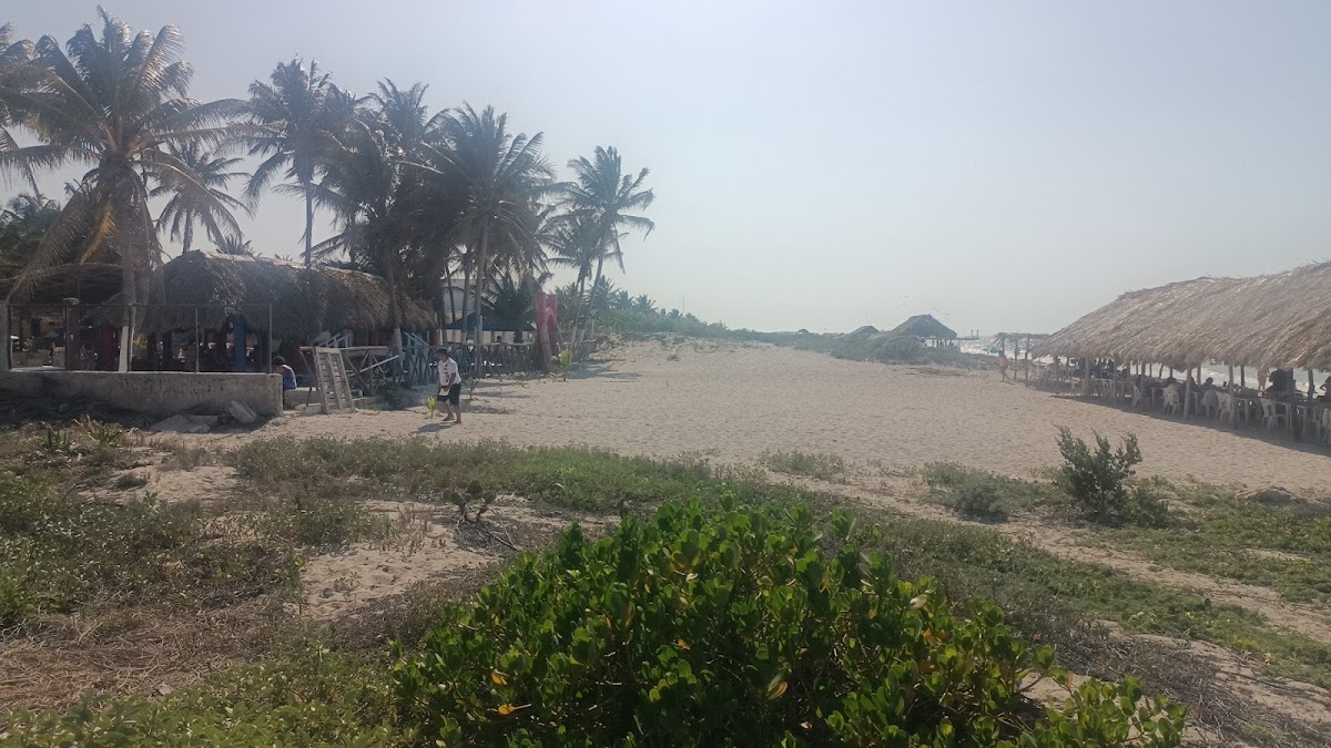 Palmar Sisal - Club de Playa - Photo 4