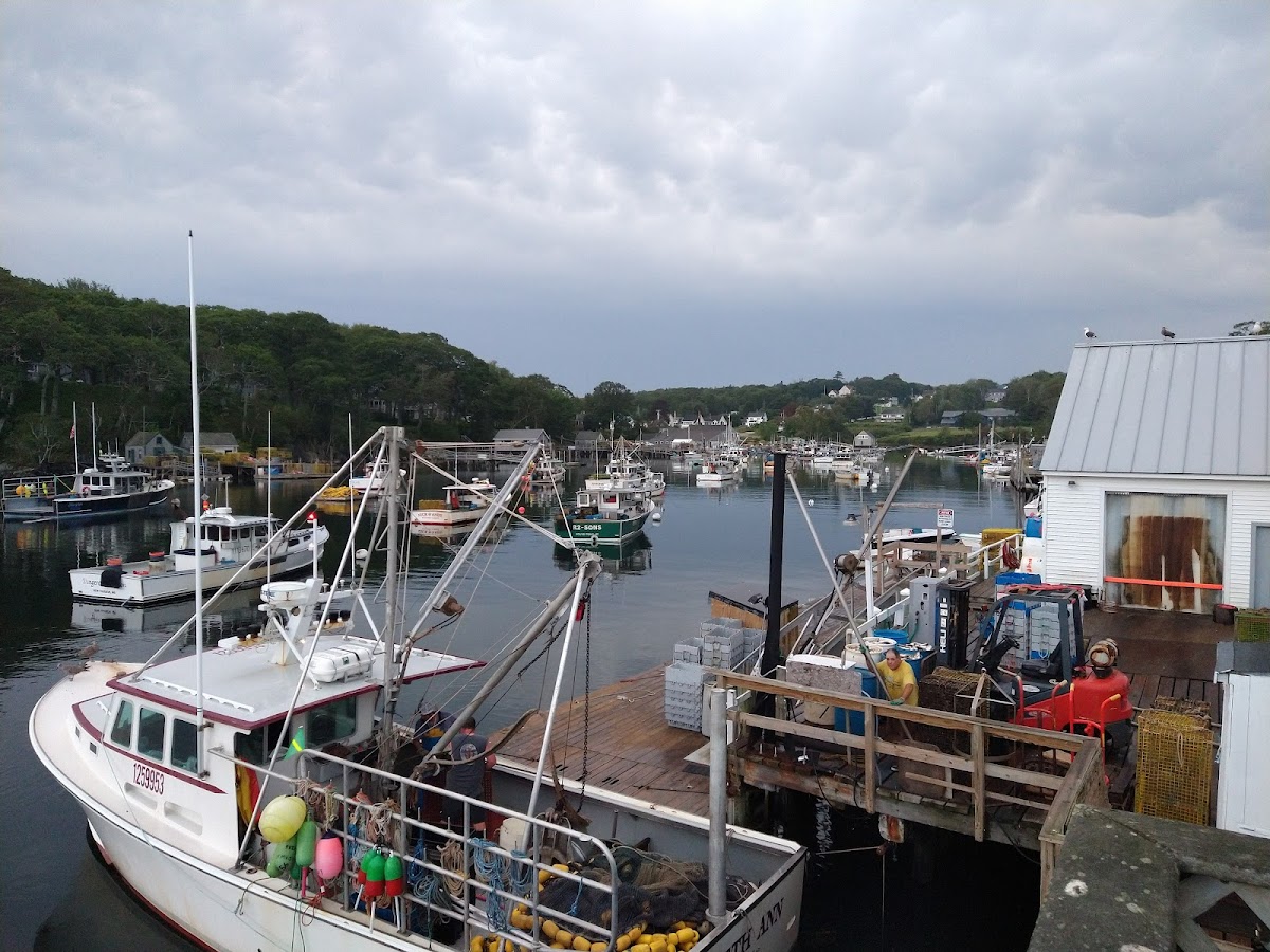 Shaw's Fish & Lobster Wharf - Photo 1