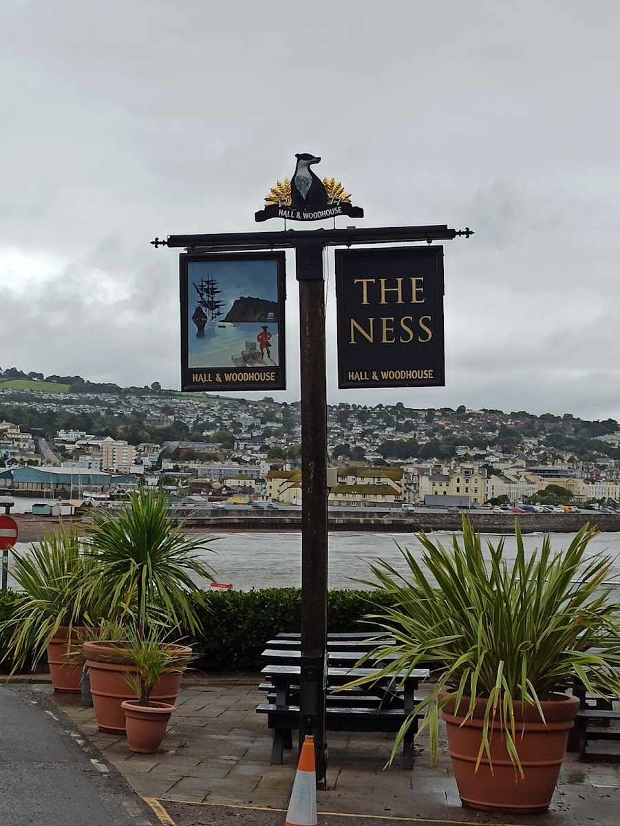 The Ness - Photo 3