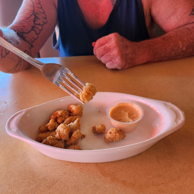 Gator Bites