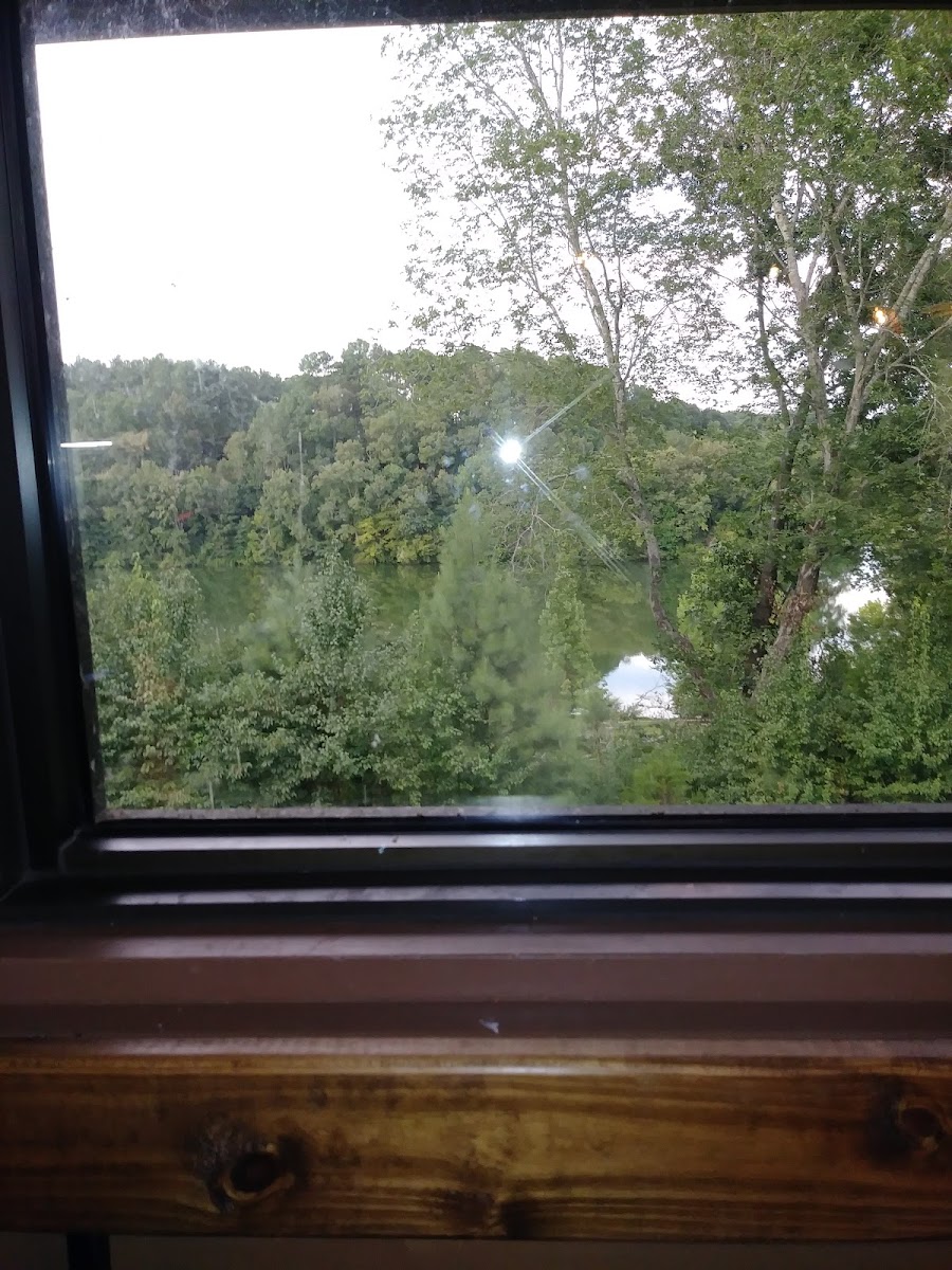 The Restaurant at David Crockett - Photo 6