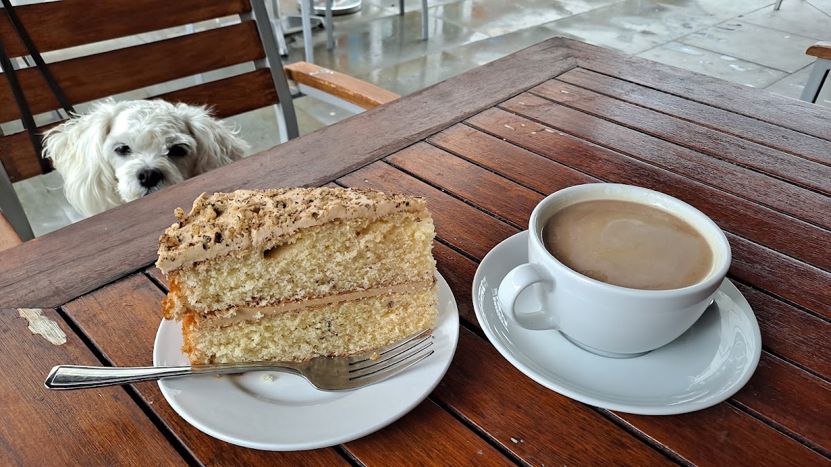 Lime Tree Café - Photo 1