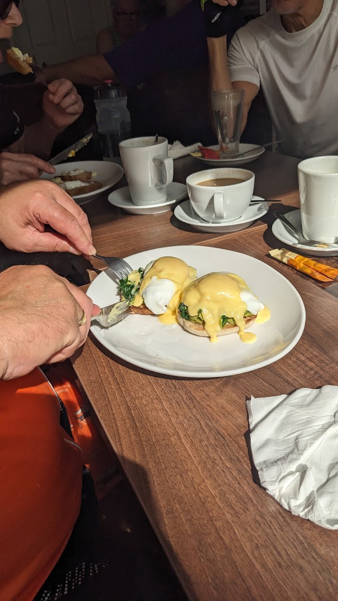 Lime Tree Café - Photo 5