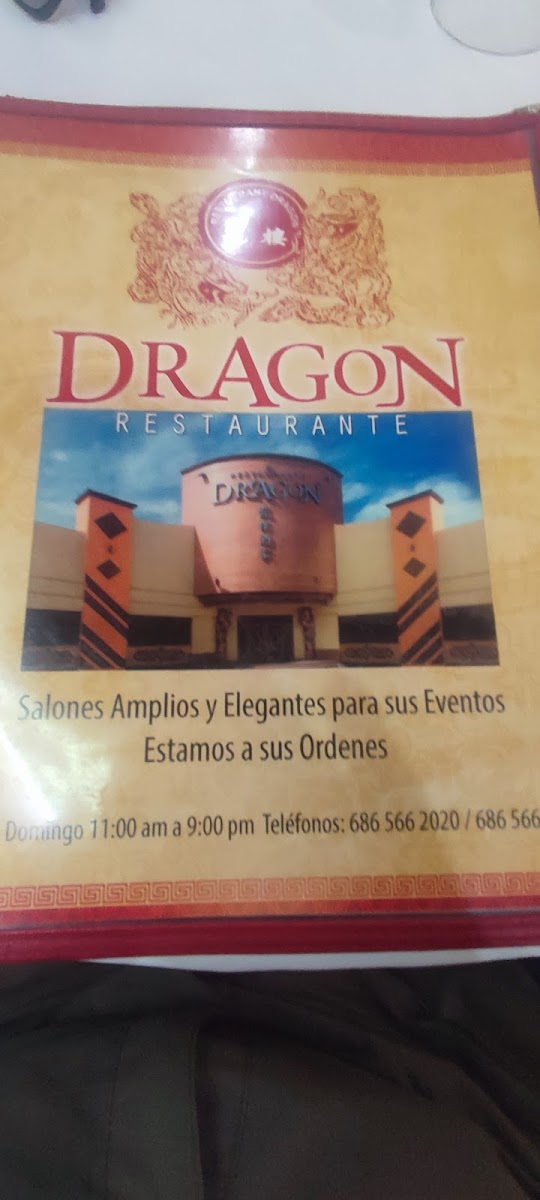 Dragon Restaurante - Photo 2