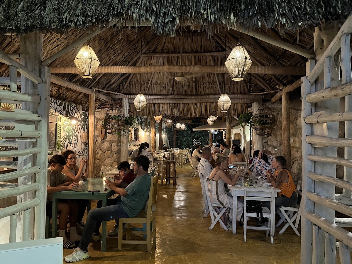 CANOVA cantina - Photo 1