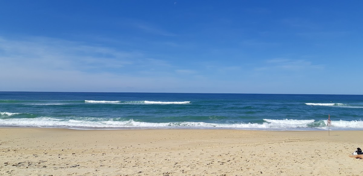 Cocotte à la plage - Photo 5