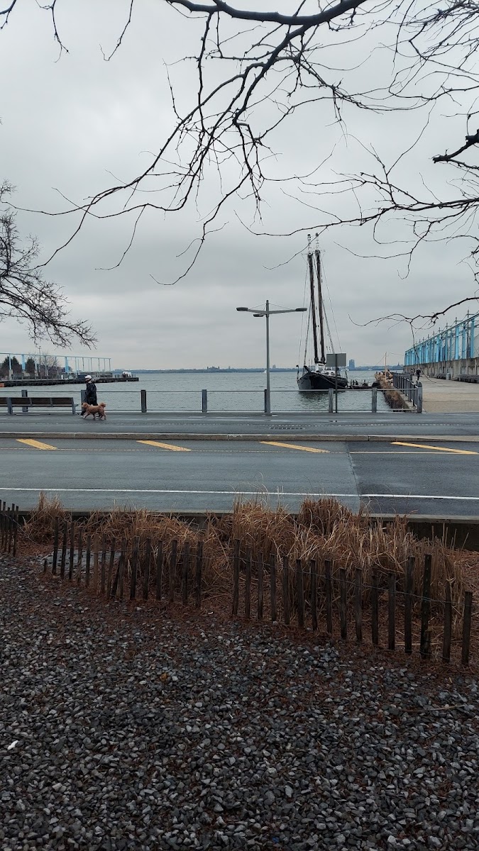 Estuary at ONE15 Brooklyn Marina - Photo 5