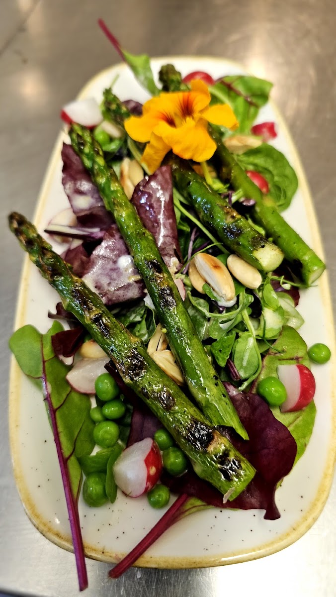 El Olivo - Photo 6