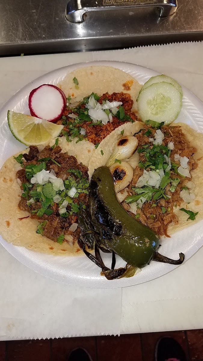 Tacos El Primo, Inc - Photo 8