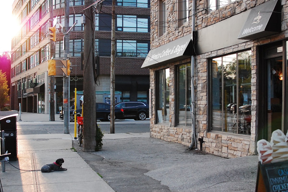 Mimico Bagel and Coffee - Photo 4