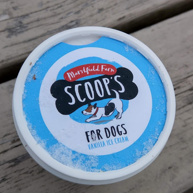 Dog Ice Cream