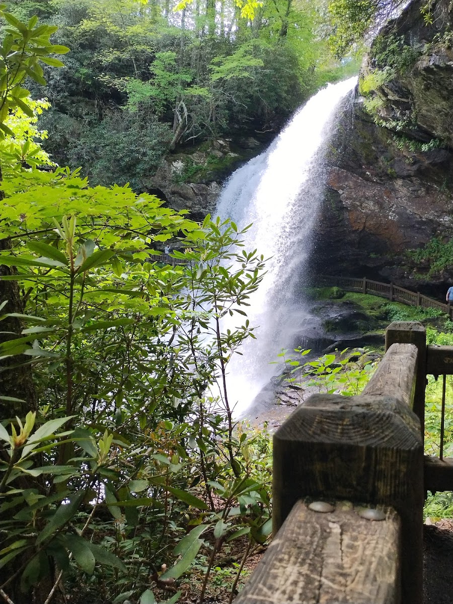 On The Verandah - Photo 2