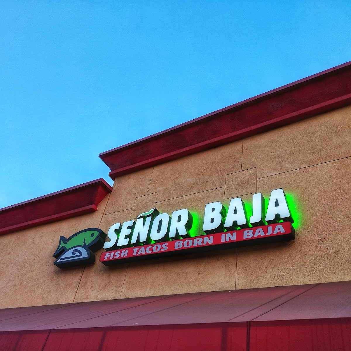 Senor Baja - Photo 1