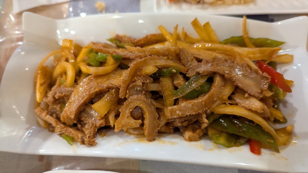 Le Taklamakan - Photo 3
