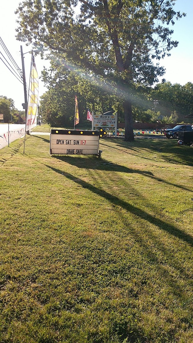 RICKS BACKYARD BBQ &GRILL - Photo 6