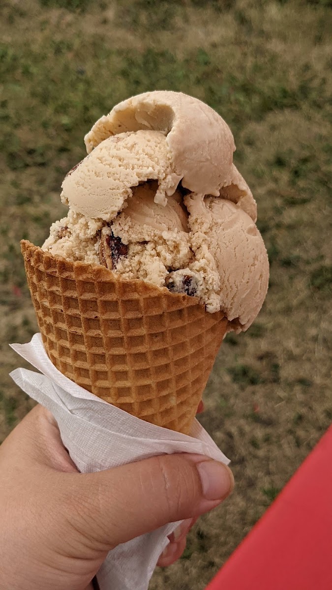 Sugar Shack - Photo 3