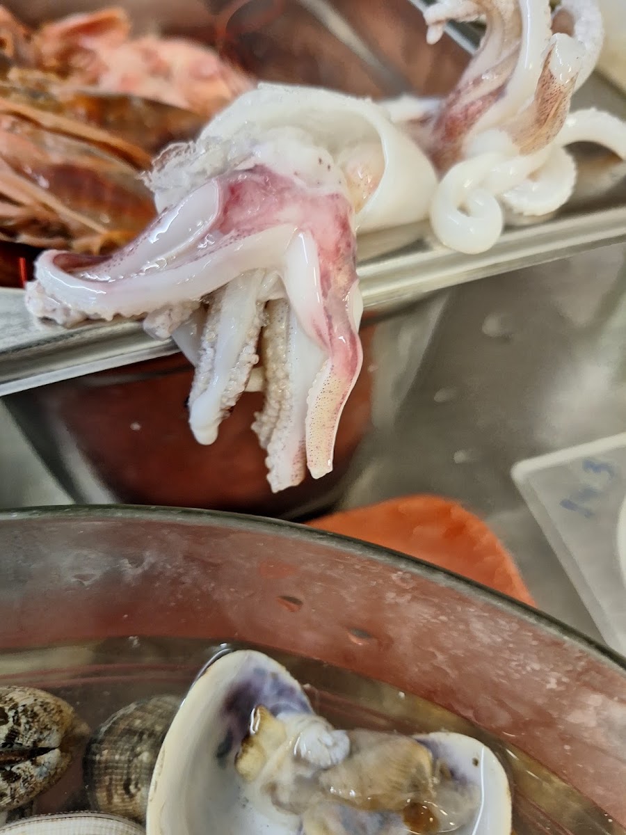 Au Bistrot de Coppet Sàrl - Photo 8