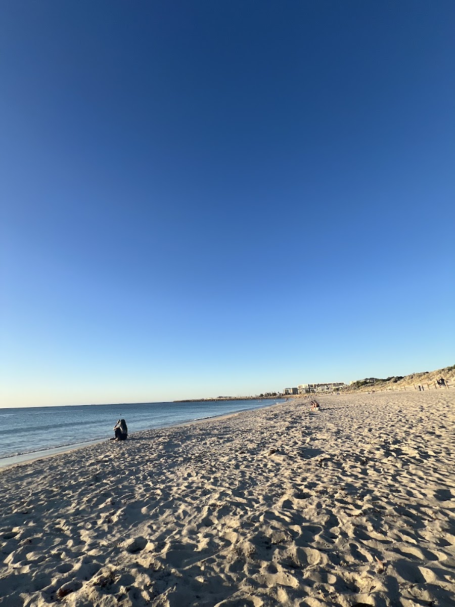 Coogee Beach Cafe - Photo 9