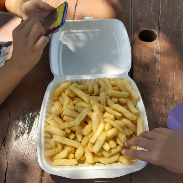 Large Chips
