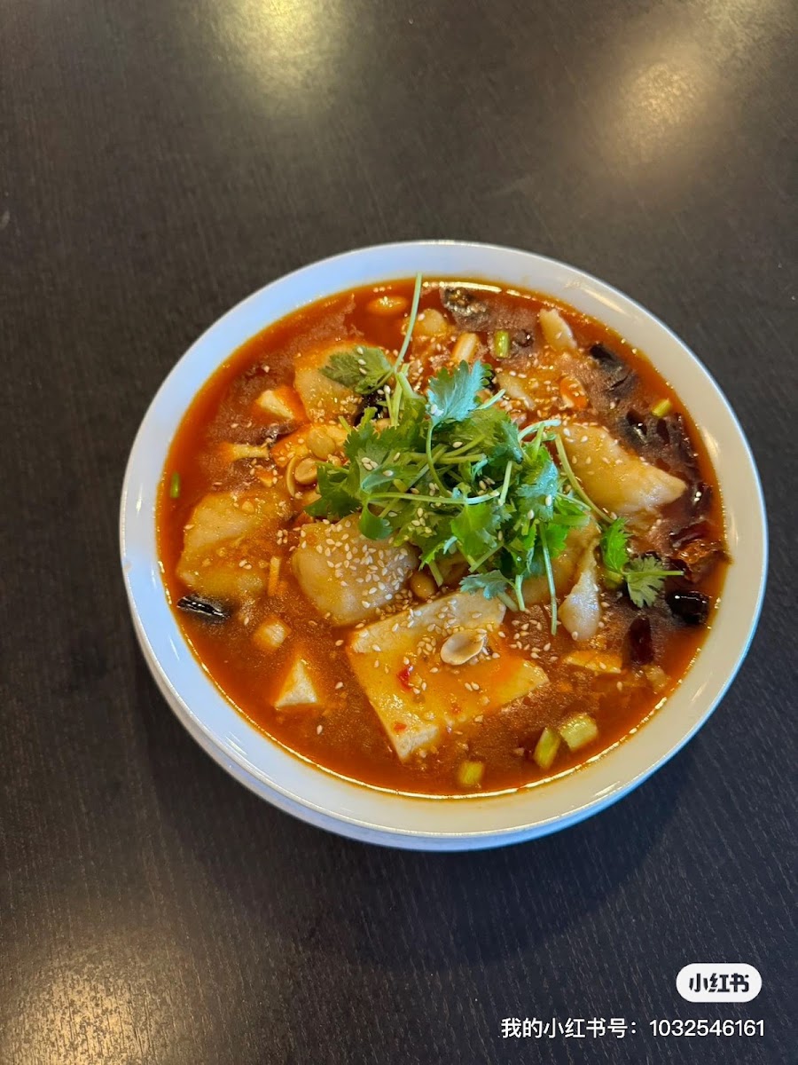 Szechuan House - San Diego - Photo 1