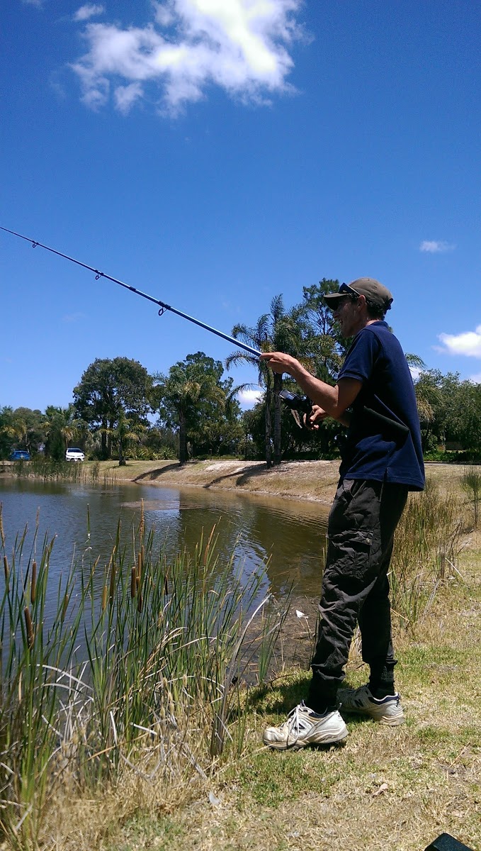Golden Ponds Fish & Marron Farm - Photo 9