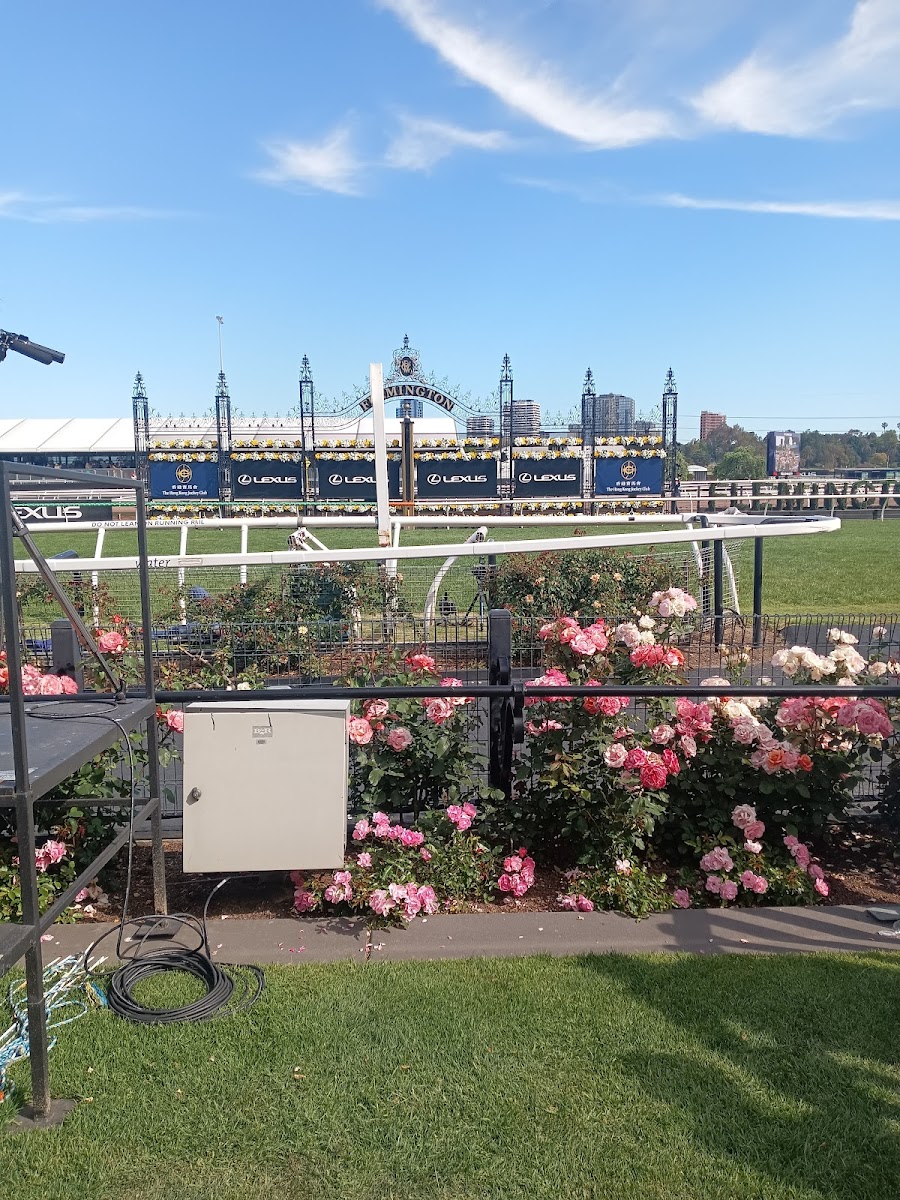 THE HILL STAND - Photo 6