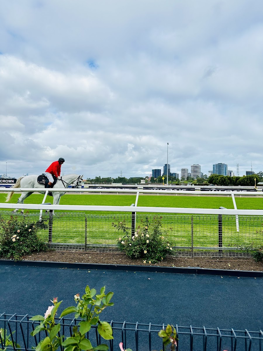 THE HILL STAND - Photo 7