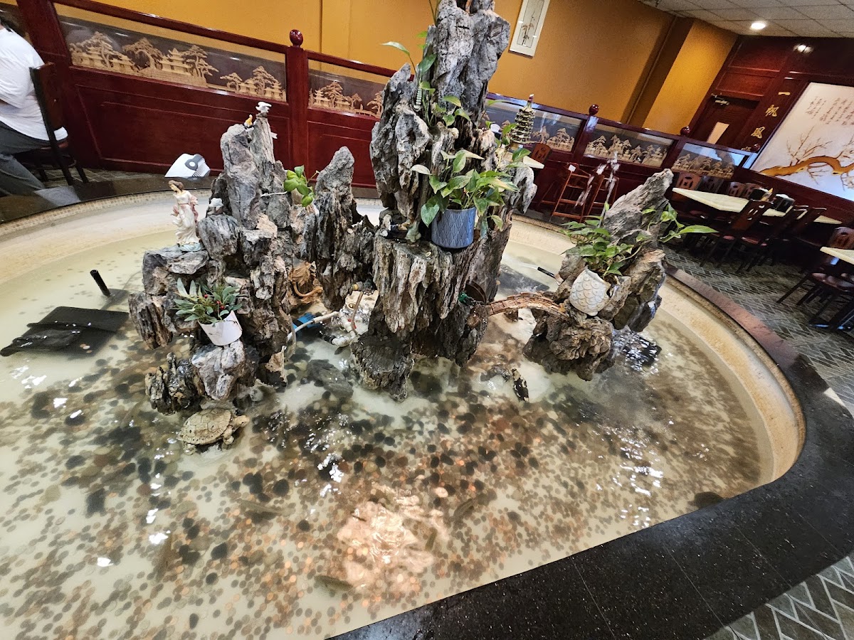 Asian Buffet - Racine - Photo 5