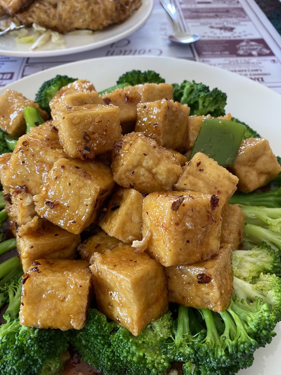 Golden Chopstix - Westerly - Photo 3