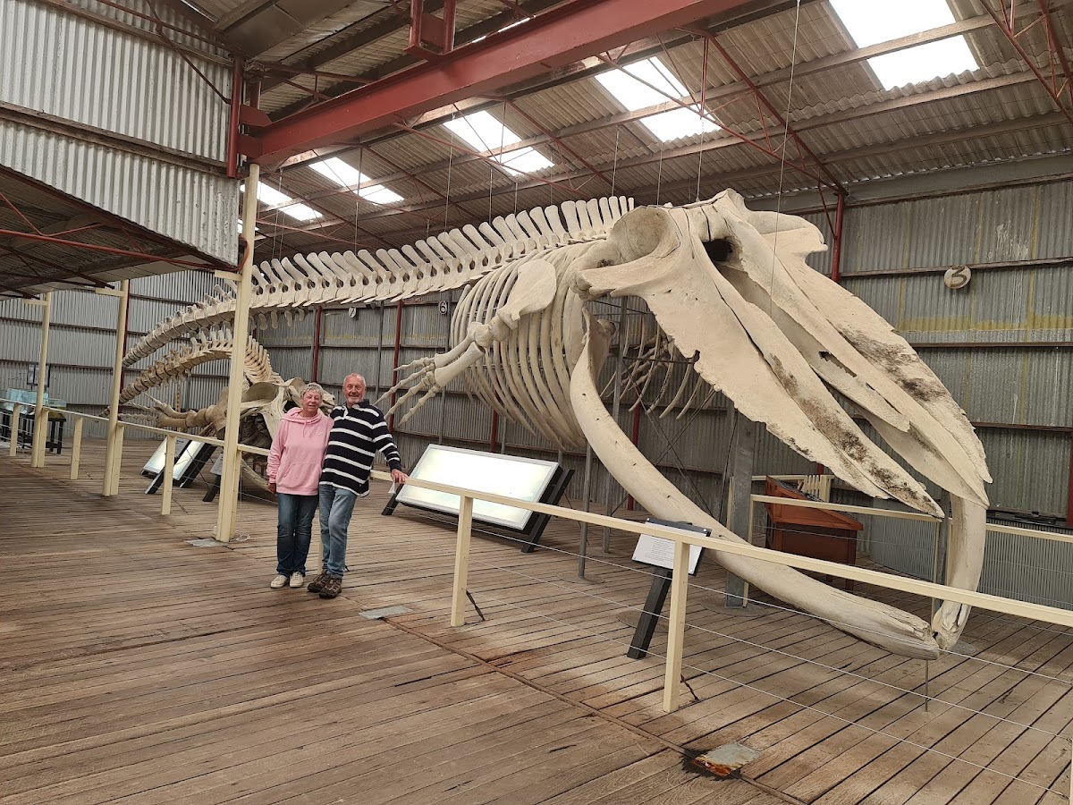 Whalers Galley Cafe - Photo 8