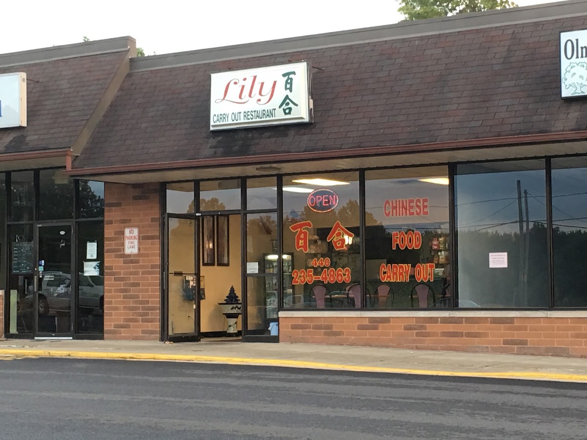 Lily's Restaurant - Olmsted Township - Photo 8