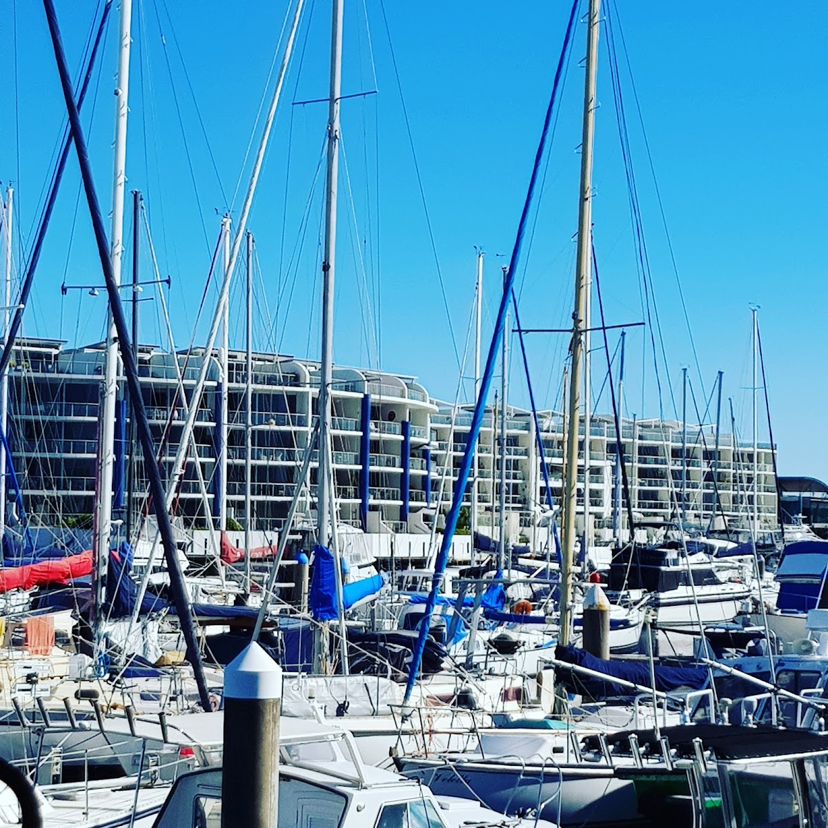 Portside Seafood Restaurant - Photo 4
