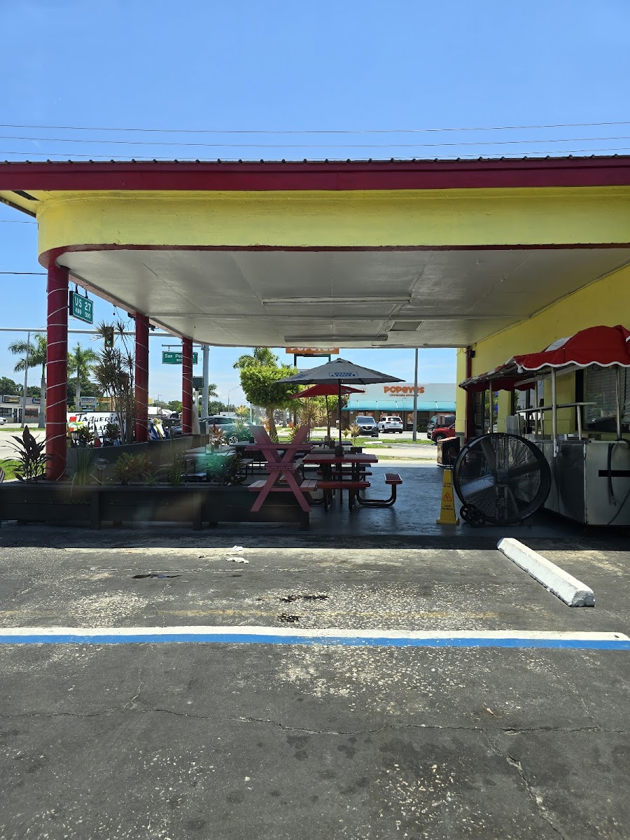 Jalapenos - Clewiston - Photo 6