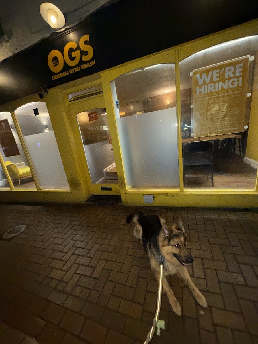 OGS - Banbury OX16 5LY - Photo 5