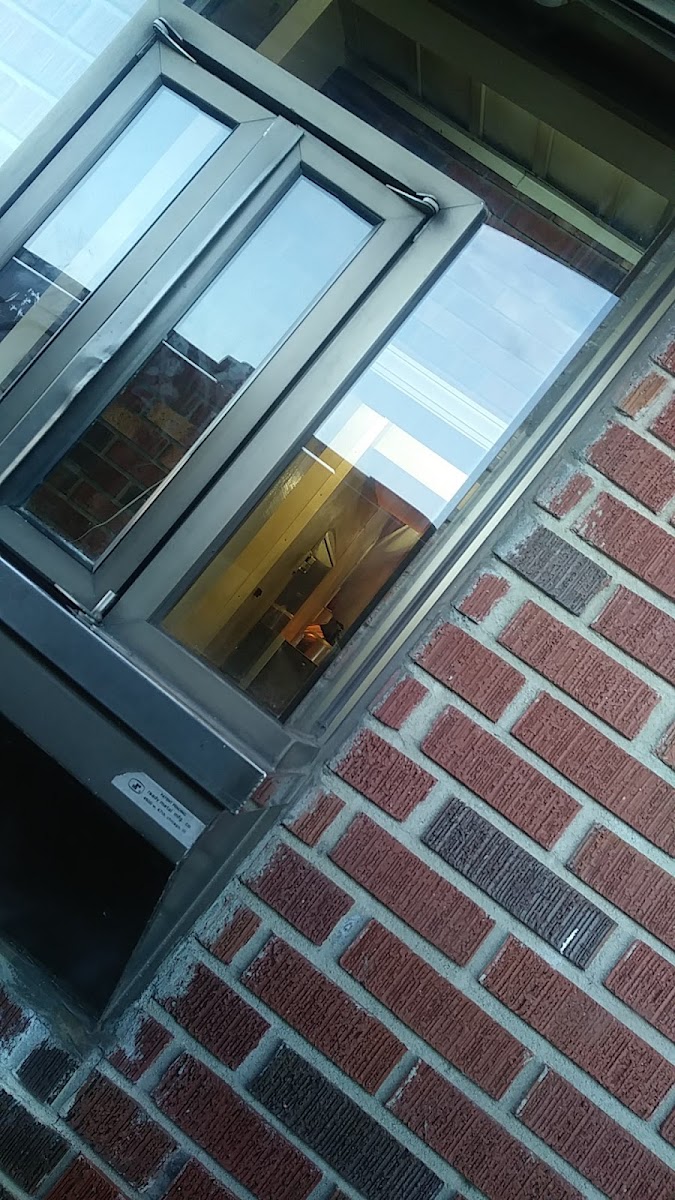 Pete's Drive-In - Woodruff - Photo 4