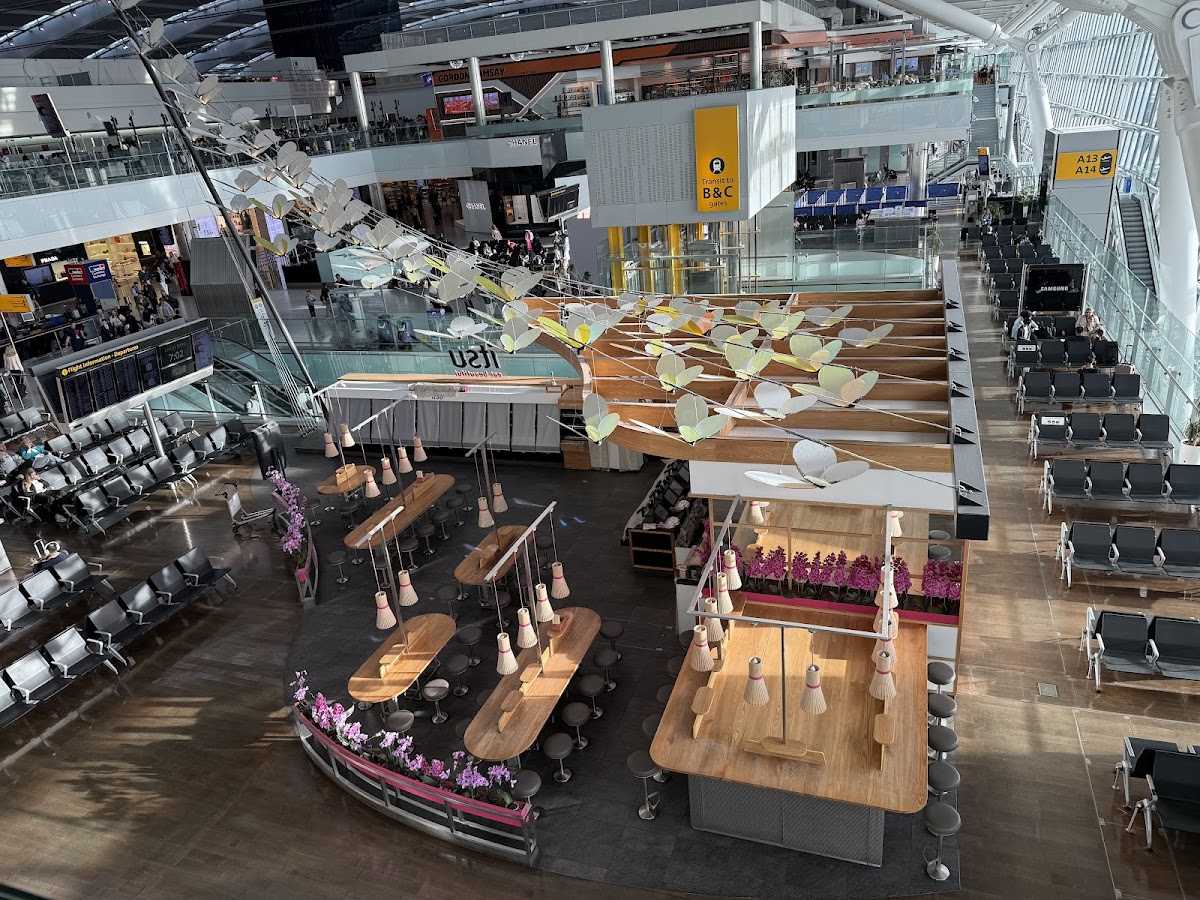 itsu - Heathrow - Photo 3