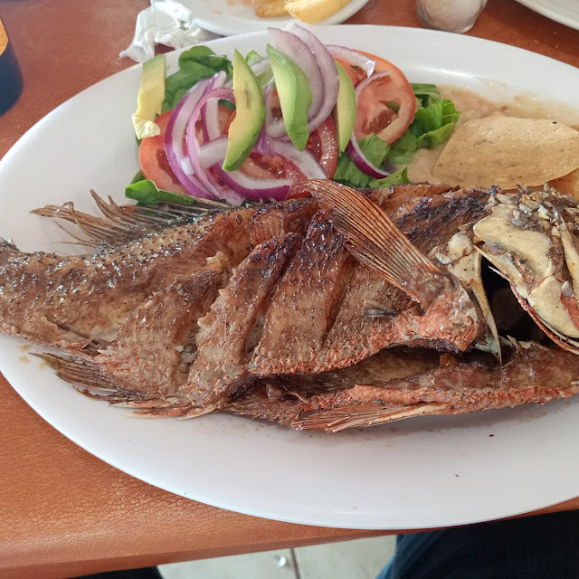 Deep Fried Snapper