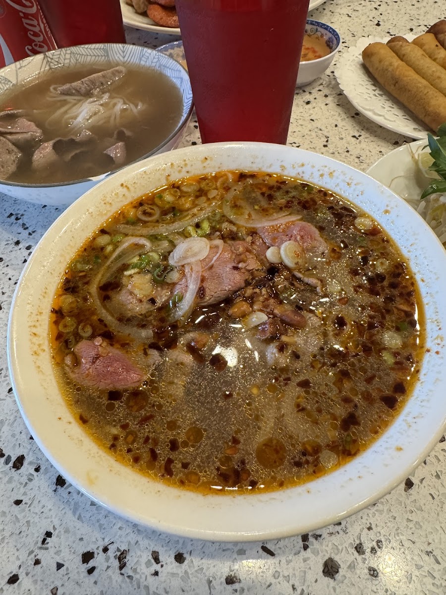 Noodle World Vietnamese Restaurant - Photo 3