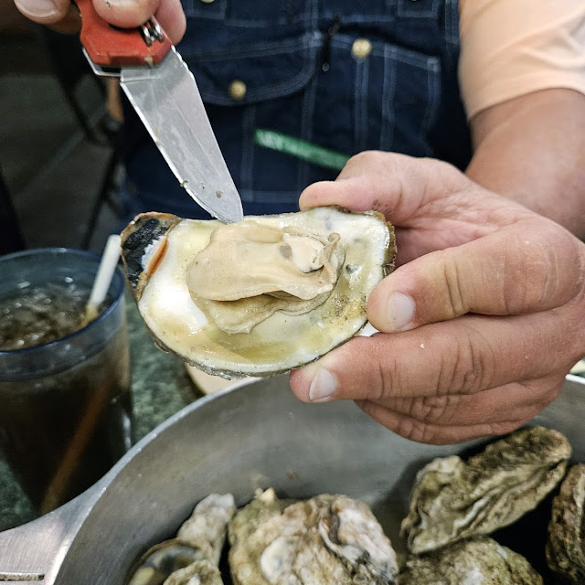 Steamed Oysters