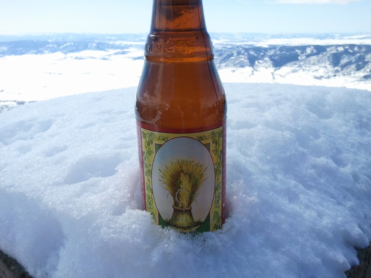 Thunderhead Lodge - Photo 4