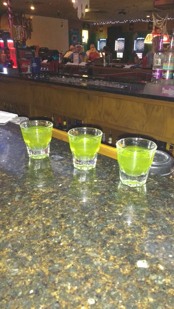 The Green Parrot - Photo 5
