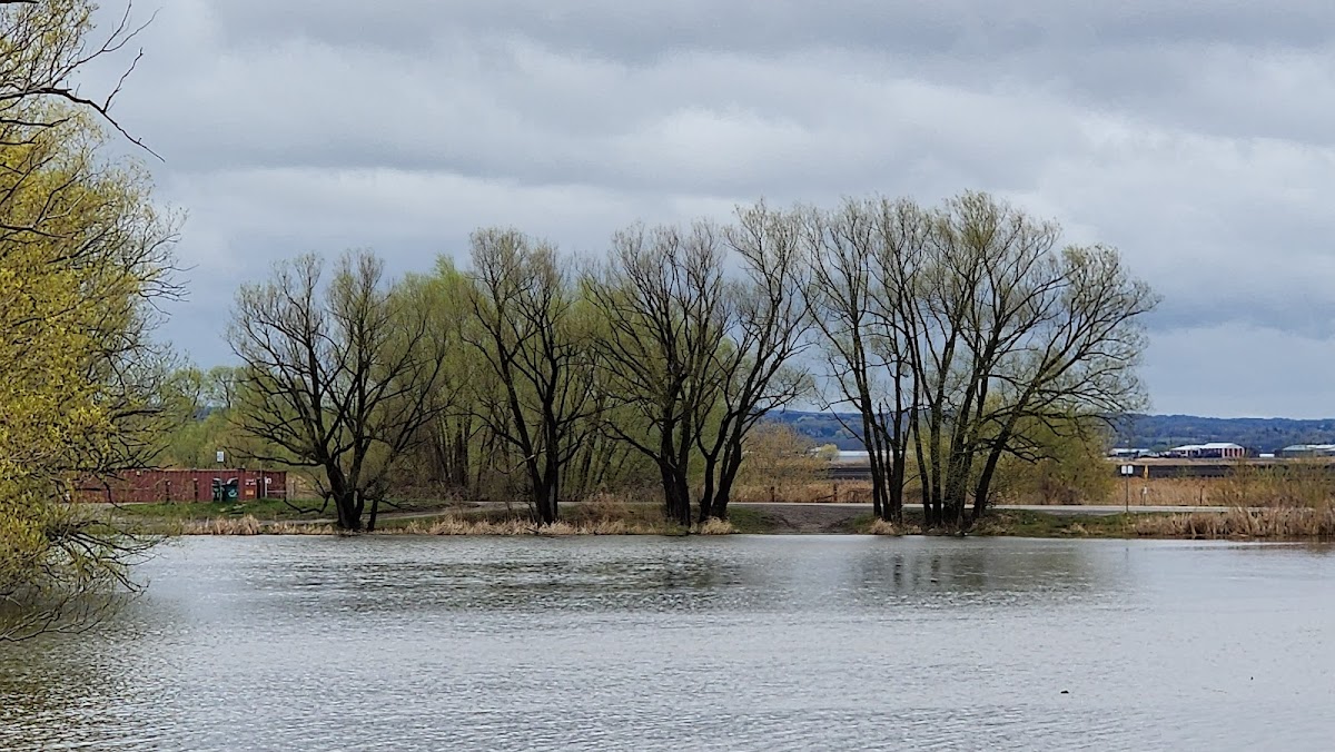 Riverview Inn & Restaurant - Photo 9