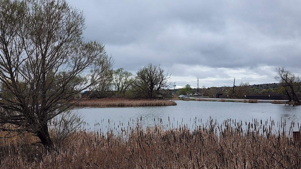 Riverview Inn & Restaurant - Photo 7