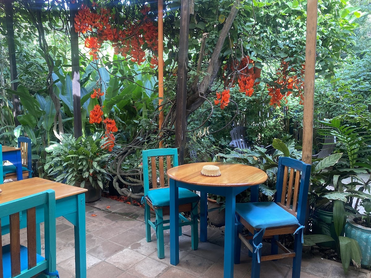 Deli Jasmin